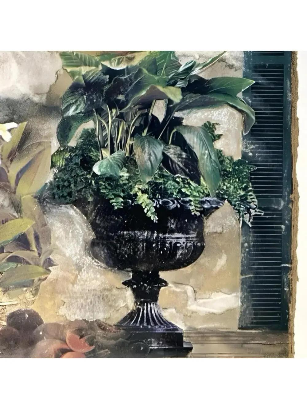 Pair of Framed Still Life Art Prints by C. Winterle Olson